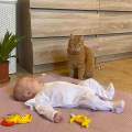 Kojeneck bavlnn overal New Baby Practical bl holka